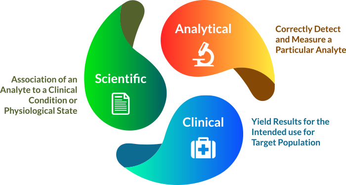  performance evaluation report per ivdr per makrocareregulatory 