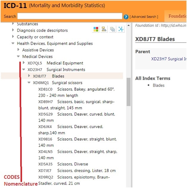 ICD 11